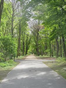 Tiergarten - Berlin