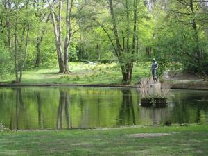 Tiergarten - Berlin