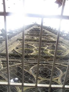 View from Cologne Cathedral