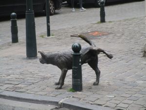 That post is that dogs territory for life - Brussels