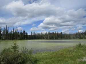 Lac Le Jeune