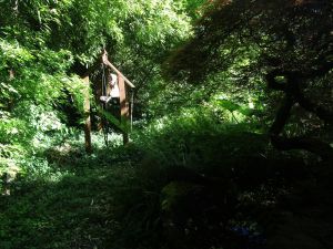 Bamboo garden - Tacoma