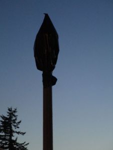 Streetlights interfering with view of fireworks taken care of Tacoma style