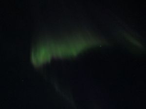 Northern Lights - Glacier Point