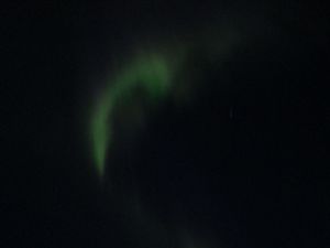 Northern Lights - Glacier Point