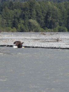 On rafting trip - outside Haines