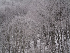 Snow in the Balkan Mountain Range