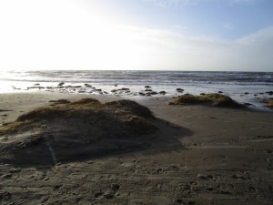 Beach in Haverdal, Sweden