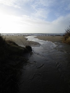 Beach in Haverdal, Sweden