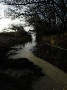 Beach in Haverdal, Sweden