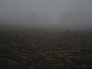 Hiking in Sweden