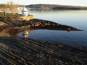 Oslofjord shoreline