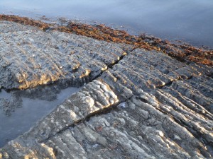 Oslofjord shoreline