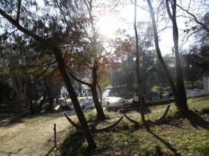 Grand Park of Tirana