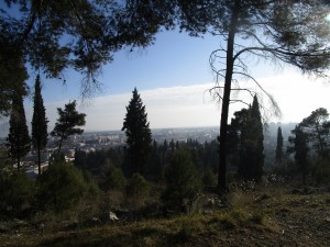 Ljubovic Hill – Podgorica