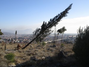 Ljubovic Hill – Podgorica