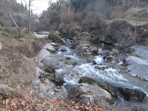 Small river – Podgorica