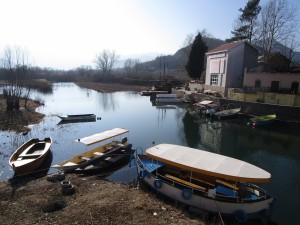 Boats in Virpazar