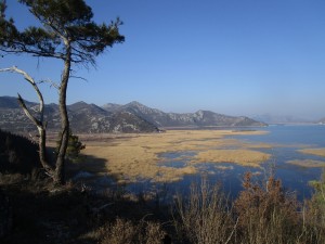 Skadar Lake near Virpazar