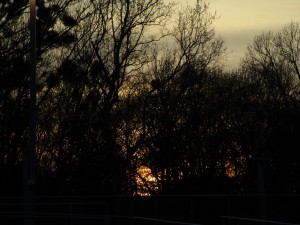 Dusk in Vienna