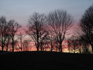 Dusk in Vienna